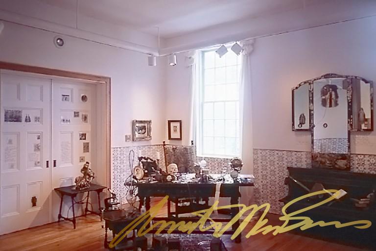 VenusEnvy-Ch2-SorJuanaLibrary-Overview-768x512